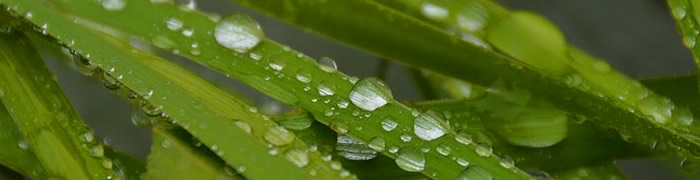 gantry-media://headers/raindrops.jpg